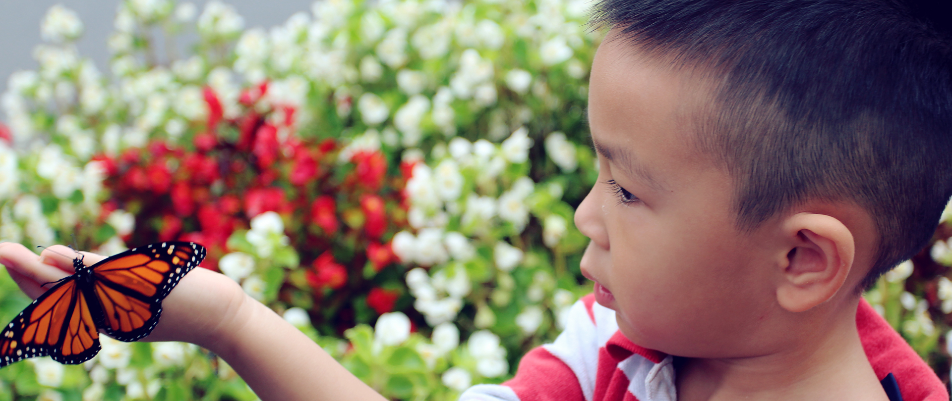 Our Integrated Approach
Developing a lifelong love of learning
